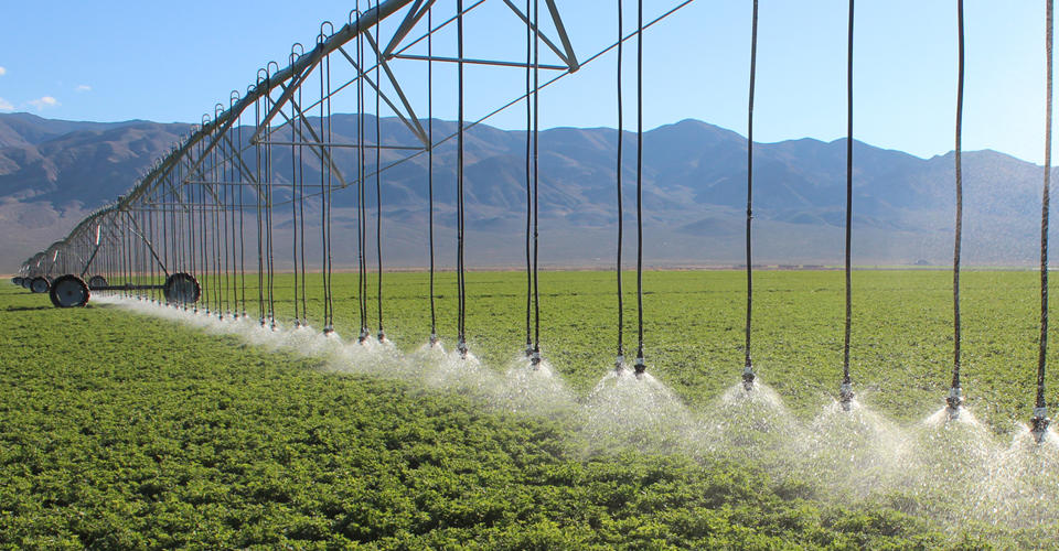 Surface irrigation system