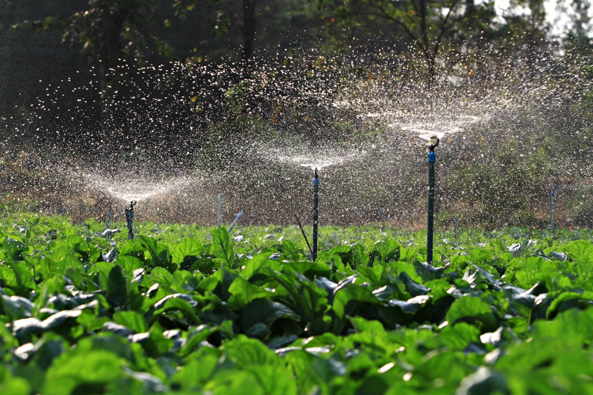 irrigation system